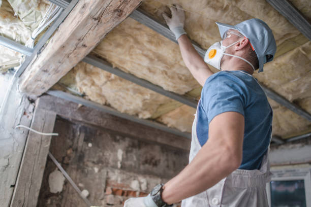 Best Local Insulation Services  in Lake Royale, NC