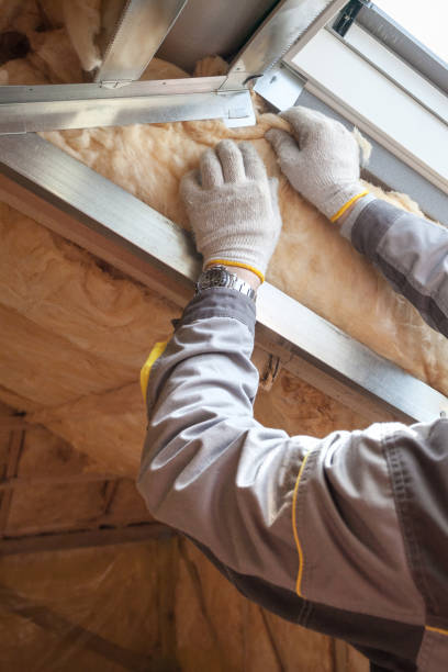 Best Insulation Inspection Services  in Lake Royale, NC