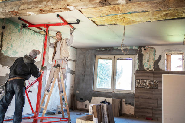 Best Home Insulation Services  in Lake Royale, NC