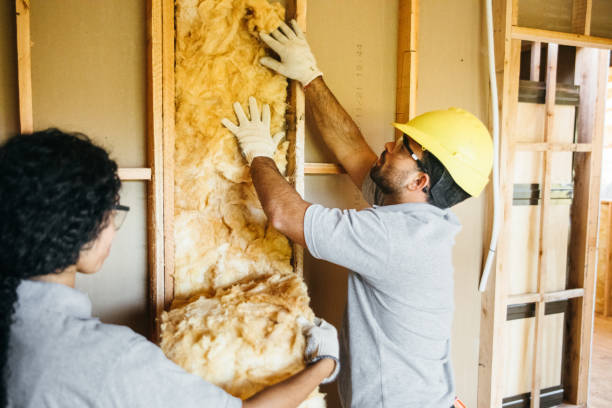 Best Professional Insulation Contractor  in Lake Royale, NC