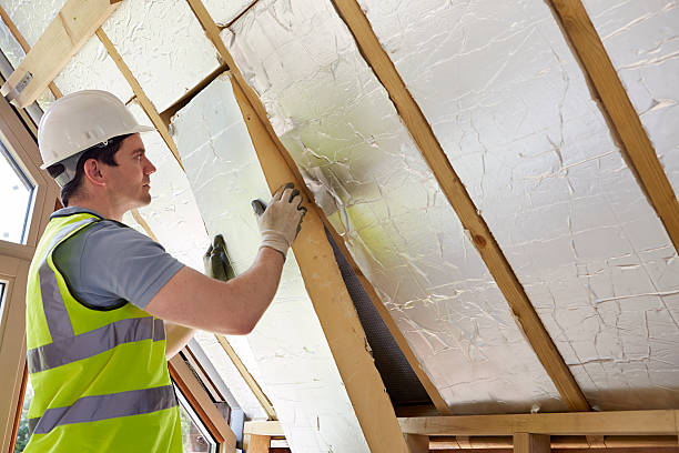 Best Insulation Inspection Services  in Lake Royale, NC