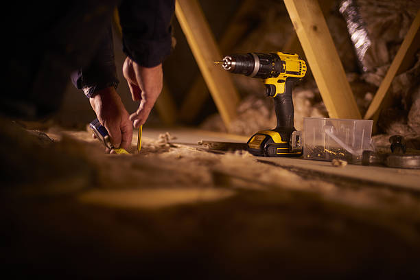 Best Insulation Repair Services  in Lake Royale, NC