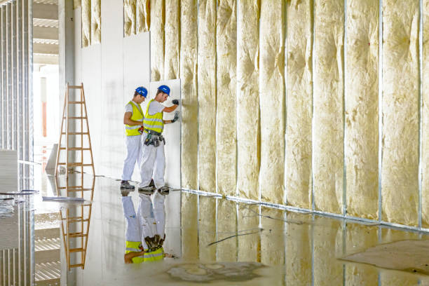 Best Residential Insulation Services  in Lake Royale, NC